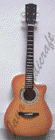 Acoustic Gibon
