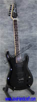 Joe Satriani Black Ibanez